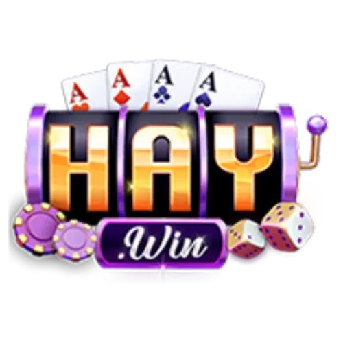 Haywin Logo